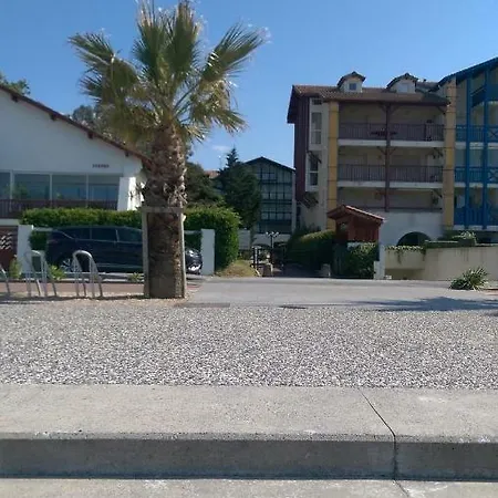 Ibaia Sokoburu Dream